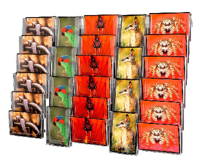 Popup Display Wall , Wall Display - Standard Pop Up Display